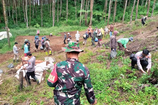 Lanjutkan Program Penghijauan Koramil 17 Wanayasa Tanam pohon bersama masyarakat