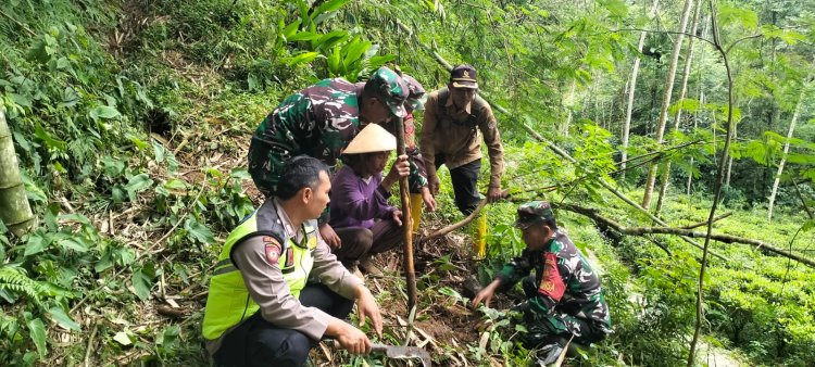 Danramil 06 Kalibening Bersama Forkopincam dan Masyarakat Melaksanakan Penghijauan