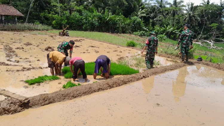 Dukung Ketahanan Pangan Danramil Bersama Babinsa Bantu Warga Ndaut
