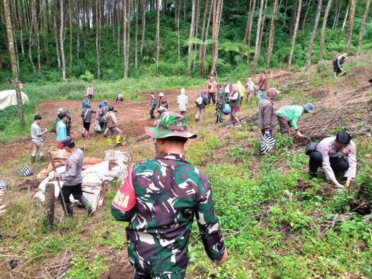 Lanjutkan Program Penghijauan Koramil 17 Wanayasa Tanam pohon bersama masyarakat