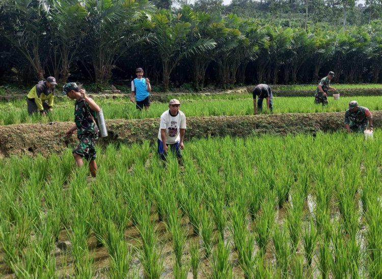 Bantu Petani Semprot Tanaman Padi