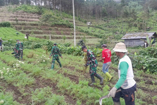 TNI Bersama komponen masyarakat tanami lahan kawasan hutan gundul