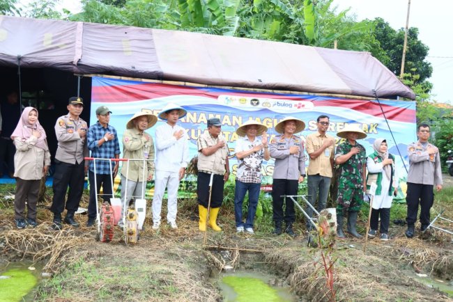 Perkuat Ketahanan Pangan, Sinergitas TNI Polri Tanam Jagung Serentak