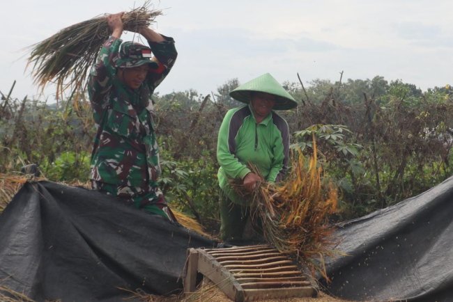 Tak Lagi Susah Bawa Hasil Panen, Senyum Ibu Una di Atas Jalan Baru Kini Terwujud
