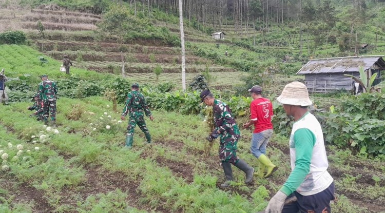 TNI Bersama komponen masyarakat tanami lahan kawasan hutan gundul