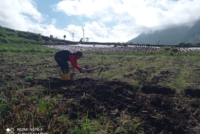Mengawal Asa dari Pondasi Peran Babinsa di Balik Pembangunan KDKMP Pekasiran