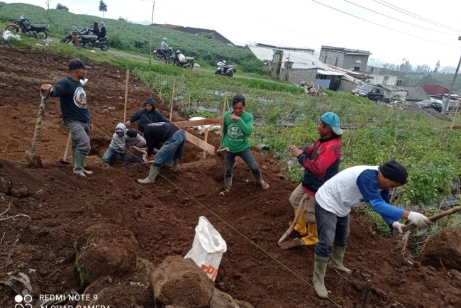 Babinsa Batur Awasi Penggalian Pondasi Pembangunan KDKMP di Pekasiran