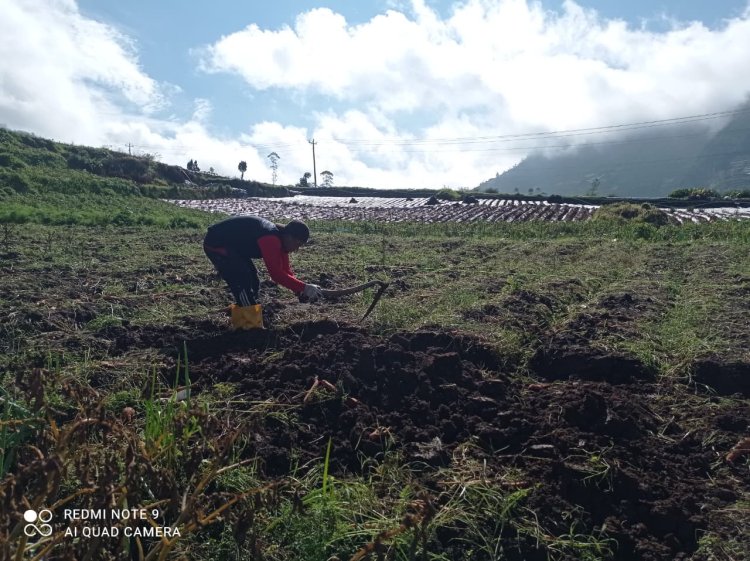Mengawal Asa dari Pondasi Peran Babinsa di Balik Pembangunan KDKMP Pekasiran