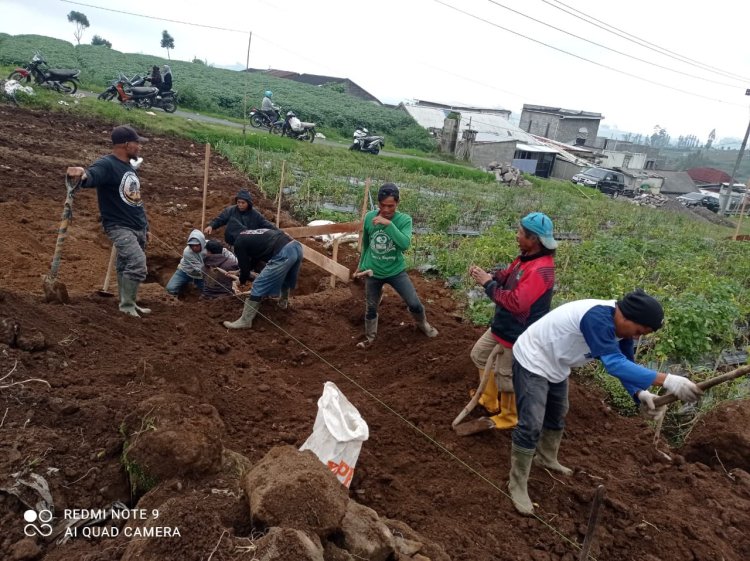 Babinsa Batur Awasi Penggalian Pondasi Pembangunan KDKMP di Pekasiran