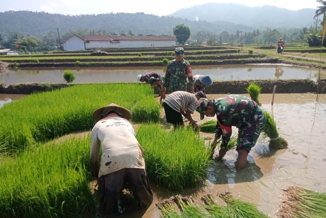 Babinsa bersama petani melaksanakan Daud