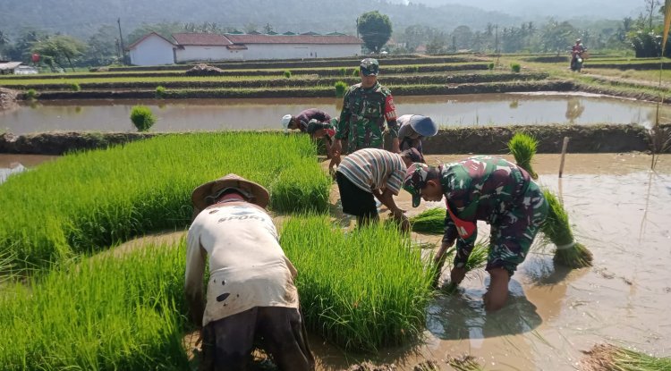 Babinsa bersama petani melaksanakan Daud
