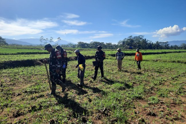 Koramil 03 Wanadadi Bersama Poktan Sri Bogasari Laksanakan Penanaman Jagung