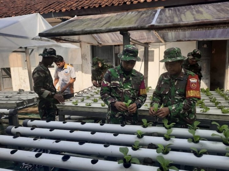 Koramil 03 Wanadadi Kembangkan Hidroponik untuk Mendukung Ketahanan Pangan