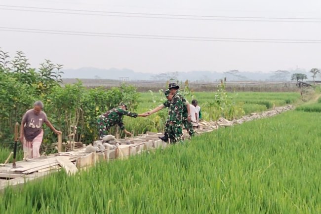 Hadapi Musim Kemarau Koramil 15 Rakit dan Poktan Ngudi Mulyo Perbaiki Irigasi Sawah