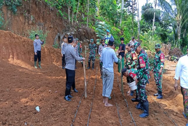 Mengubah Lahan Tidur Menjadi Lumbung Harapan TNI dan Warga Mantrianom Tanam Jagung Bersama