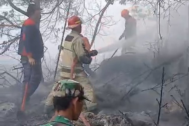 Kebakaran Semak Belukar di Lahan Perhutani Diengkulon TNI-Polri dan Warga Bergerak Padamkan Api