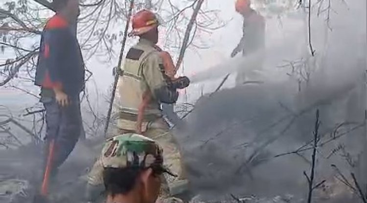 Kebakaran Semak Belukar di Lahan Perhutani Diengkulon TNI-Polri dan Warga Bergerak Padamkan Api