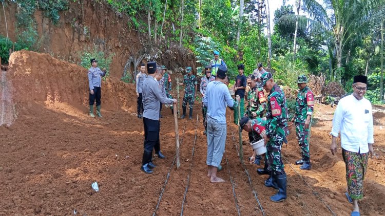 Mengubah Lahan Tidur Menjadi Lumbung Harapan TNI dan Warga Mantrianom Tanam Jagung Bersama