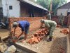 Danramil 06/kalibening bersama warga melaksanakan pendampingan kegiatan Rehabilitasi Rumah Tidak Layak Huni 