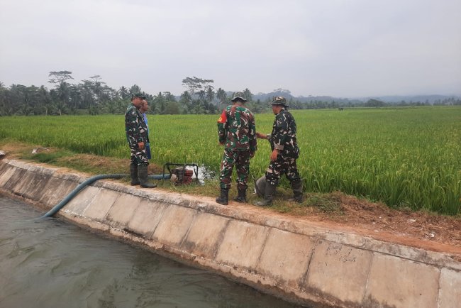 Hadapi Kemarau Panjang, Koramil 03/Wanadadi Bantu Pengairan 24 Hektare Sawah di Linggasari