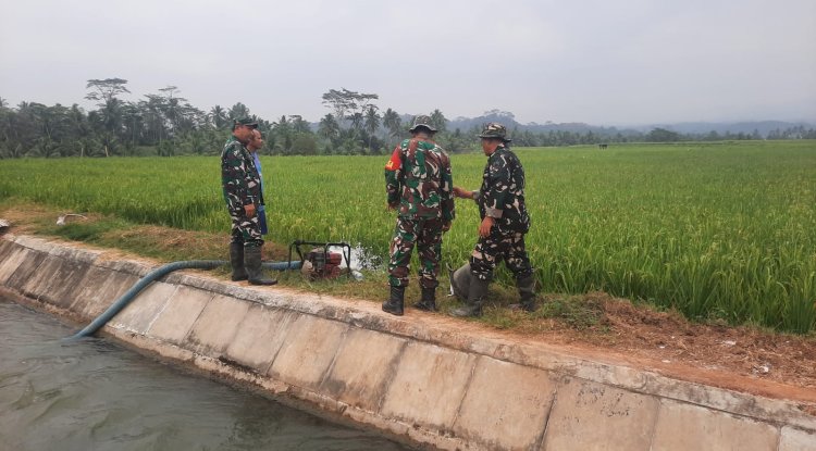 Hadapi Kemarau Panjang, Koramil 03/Wanadadi Bantu Pengairan 24 Hektare Sawah di Linggasari