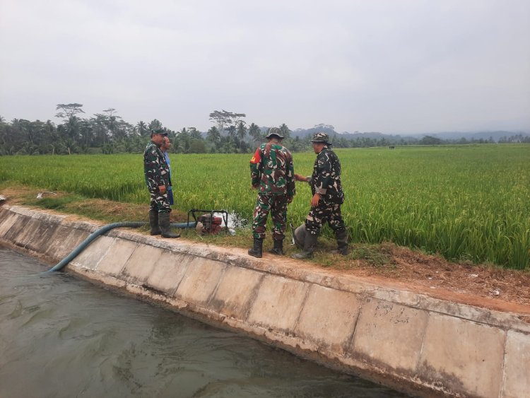 Hadapi Kemarau Panjang, Koramil 03/Wanadadi Bantu Pengairan 24 Hektare Sawah di Linggasari