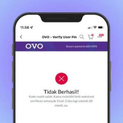 Cara Menelusuri Transaksi Tertunda Pengguna OVO